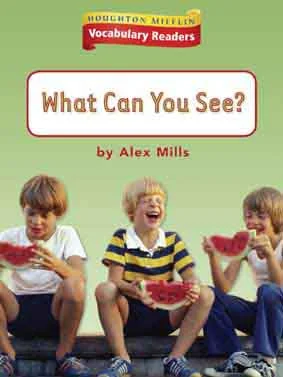 Vocabulary Readers: What Can You See