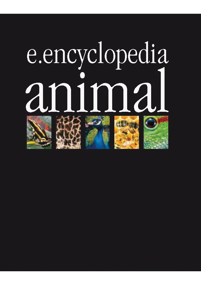 E.Encyclopedia Animal