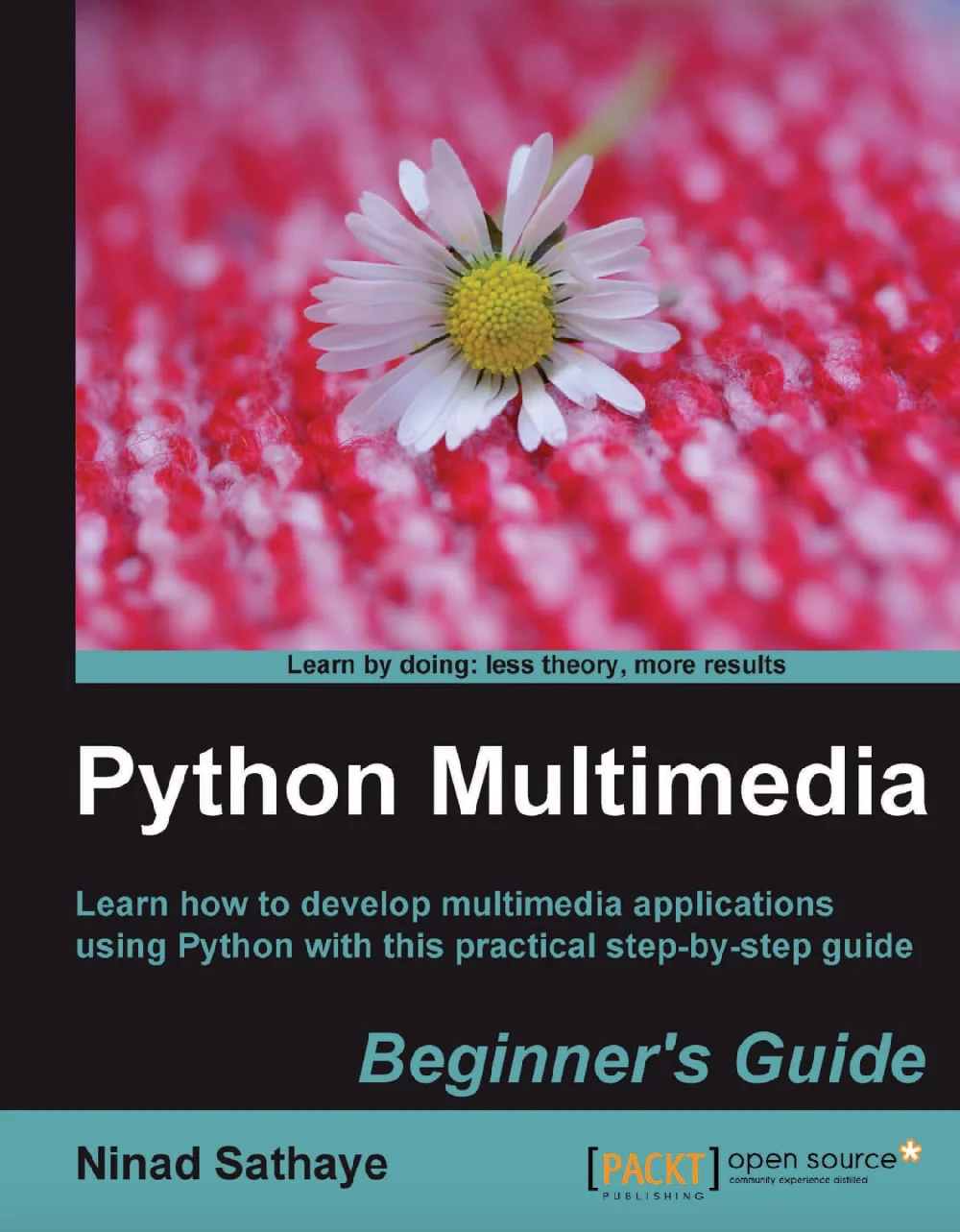 Python Multimedia: Beginner's Guide