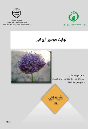 تولید موسیر ایرانی