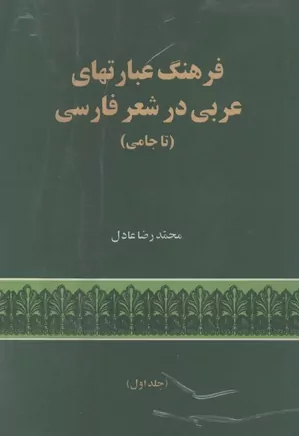 فرهنگ عبارتهای عربی در شعر فارسی، تا جامی - جلد ۱