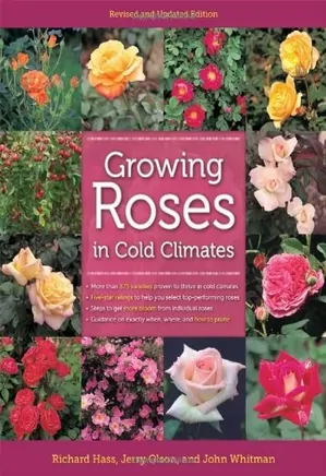 Growing Roses in Cold Climates