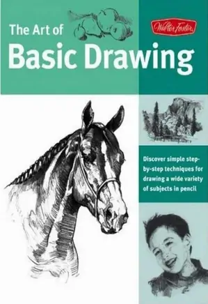 The Art of Basic Drawing