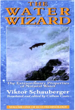 The Water Wizard: The Extraordinary Properties of Natural Water