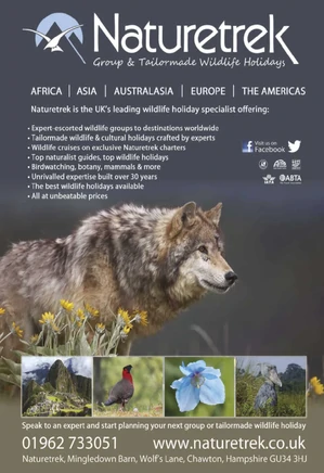 Assorted Magazines Bundle - BBC Wildlife - March 2016