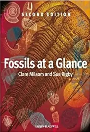 Fossil at a Glance