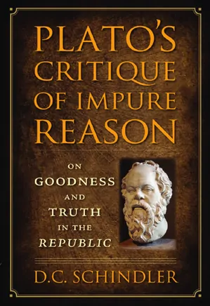 Plato's Critique of Impure Reason: On Goodness and Truth in the Republic