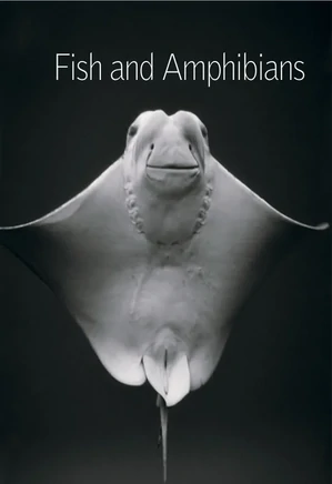 The Britannica, fish and amphibians 2008