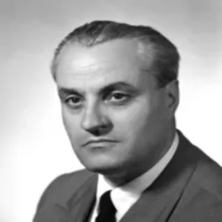 Mario D. Carelli