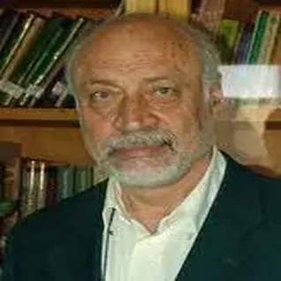 سید اصغر محمودآبادی