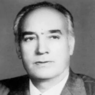 محمد دیهیم